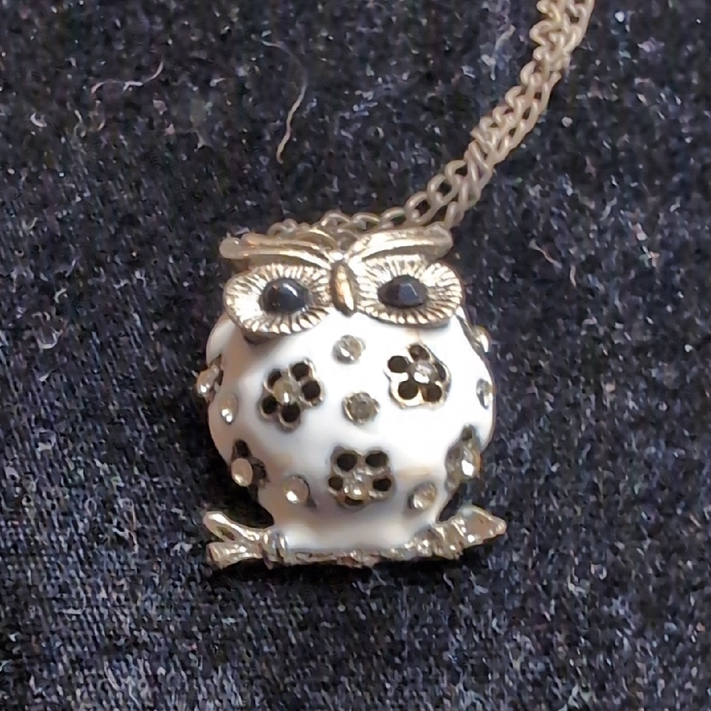 1 1/2" X 1 1/4" Enameled Owl Sweater Necklace
